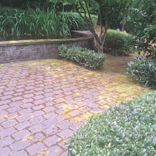 Spring-pressure-washing-for-Kirkland-springs-apartments 42